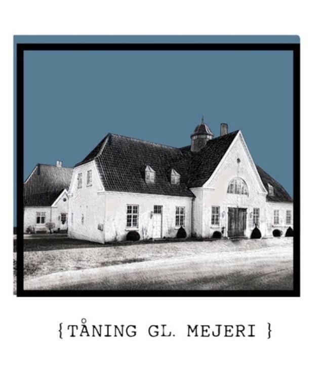 Ferienwohnung Taning Gl. Mejeri Skanderborg Exterior foto